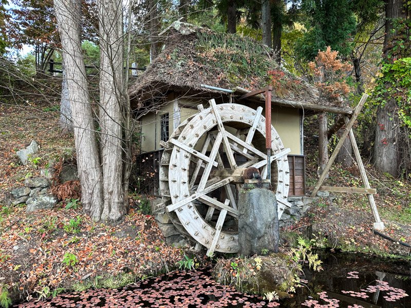 🌳 가와고의 큰 녹나무 공원(가와고노오쿠스코엔) 이미지 7